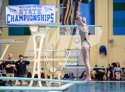 Thumbnail 1 in CHSAA 4A Dive Finals photogallery.