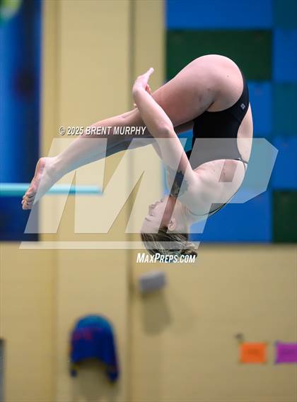 Thumbnail 1 in CHSAA 4A Dive Finals photogallery.