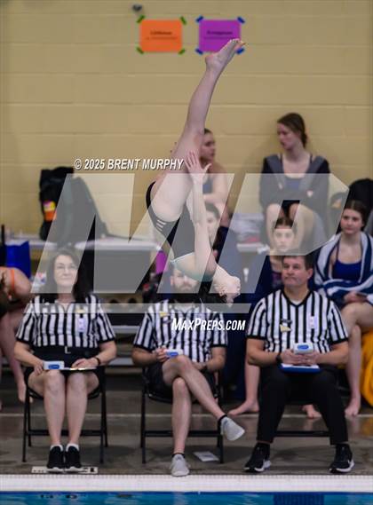 Thumbnail 2 in CHSAA 4A Dive Finals photogallery.