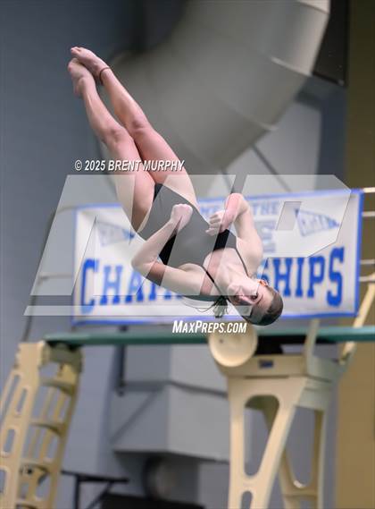 Thumbnail 2 in CHSAA 4A Dive Finals photogallery.