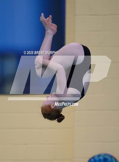 Thumbnail 1 in CHSAA 4A Dive Finals photogallery.