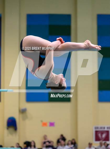 Thumbnail 3 in CHSAA 4A Dive Finals photogallery.