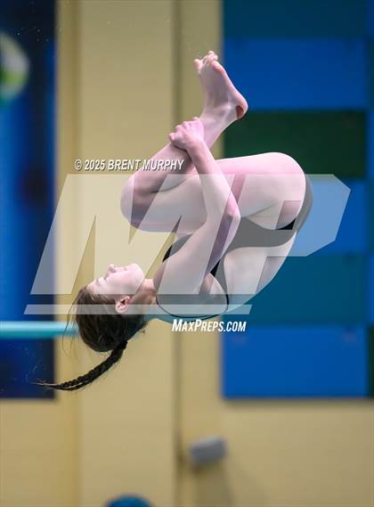 Thumbnail 3 in CHSAA 4A Dive Finals photogallery.