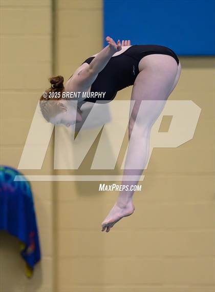 Thumbnail 1 in CHSAA 4A Dive Finals photogallery.