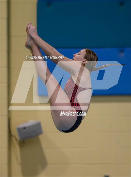 Thumbnail 1 in CHSAA 4A Dive Finals photogallery.