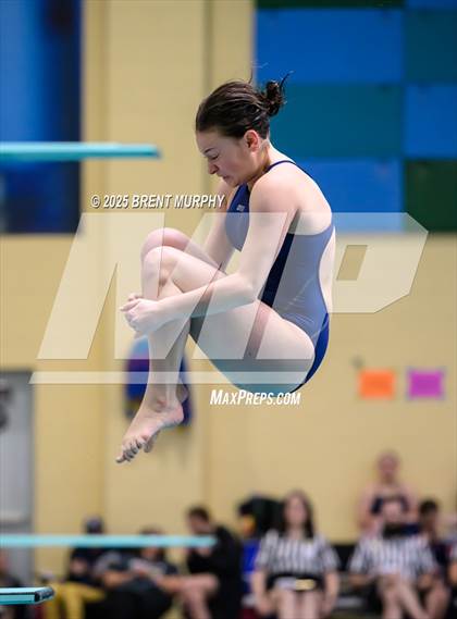 Thumbnail 2 in CHSAA 4A Dive Finals photogallery.