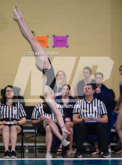 Thumbnail 1 in CHSAA 4A Dive Finals photogallery.