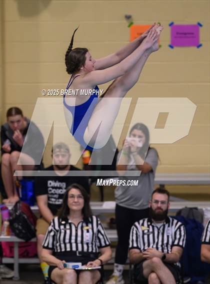 Thumbnail 1 in CHSAA 4A Dive Finals photogallery.