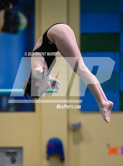 Thumbnail 2 in CHSAA 4A Dive Finals photogallery.