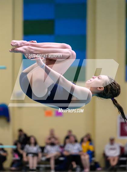 Thumbnail 1 in CHSAA 4A Dive Finals photogallery.
