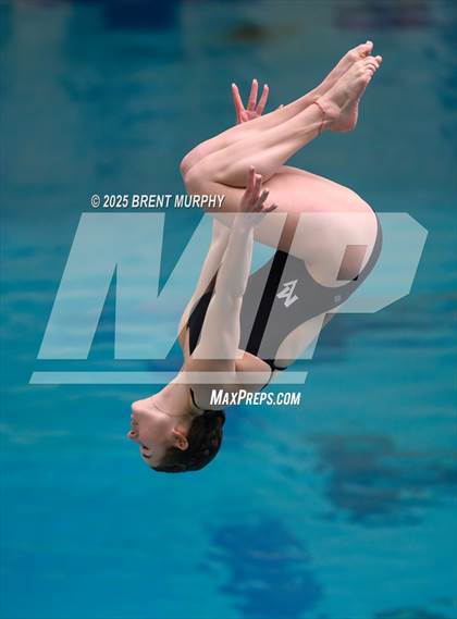 Thumbnail 3 in CHSAA 4A Dive Finals photogallery.