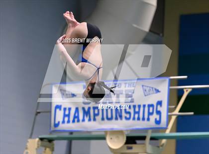Thumbnail 2 in CHSAA 4A Dive Finals photogallery.