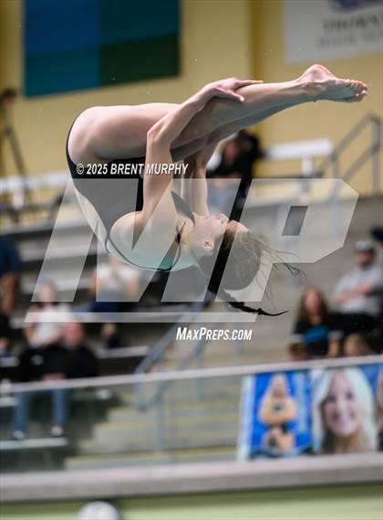Thumbnail 1 in CHSAA 4A Dive Finals photogallery.