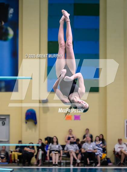 Thumbnail 2 in CHSAA 4A Dive Finals photogallery.