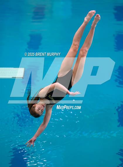 Thumbnail 1 in CHSAA 4A Dive Finals photogallery.