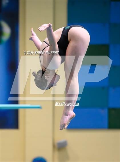Thumbnail 1 in CHSAA 4A Dive Finals photogallery.