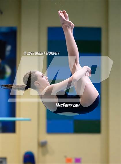 Thumbnail 1 in CHSAA 4A Dive Finals photogallery.