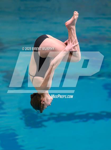 Thumbnail 3 in CHSAA 4A Dive Finals photogallery.