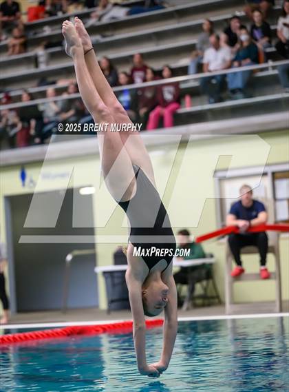 Thumbnail 2 in CHSAA 4A Dive Finals photogallery.