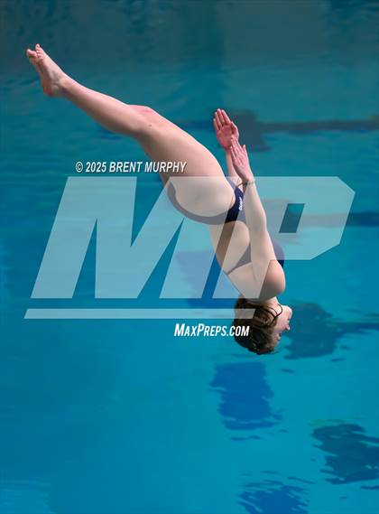 Thumbnail 1 in CHSAA 4A Dive Finals photogallery.
