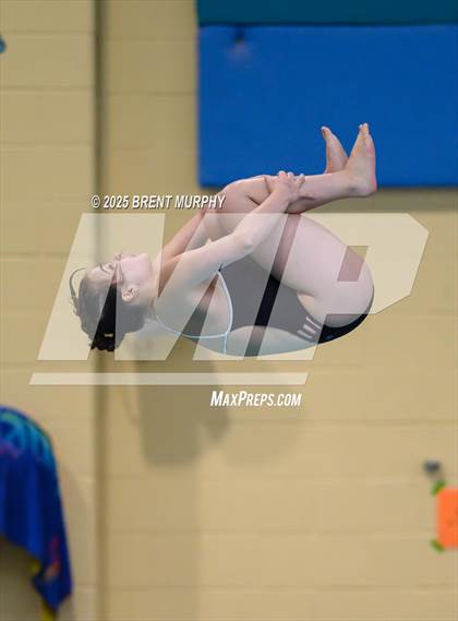 Thumbnail 3 in CHSAA 4A Dive Finals photogallery.