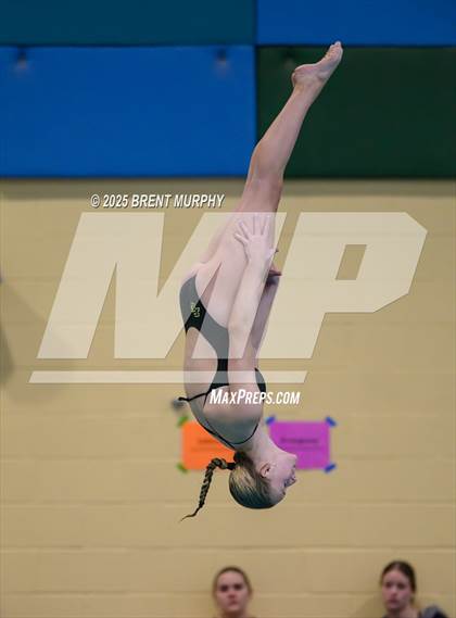 Thumbnail 3 in CHSAA 4A Dive Finals photogallery.