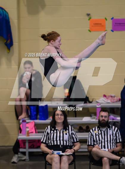 Thumbnail 3 in CHSAA 4A Dive Finals photogallery.