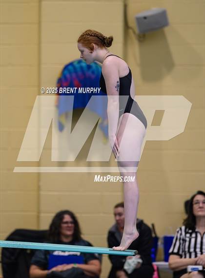 Thumbnail 3 in CHSAA 4A Dive Finals photogallery.