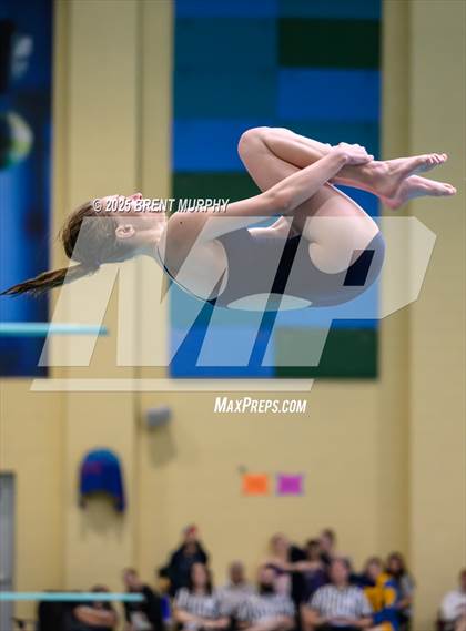 Thumbnail 2 in CHSAA 4A Dive Finals photogallery.
