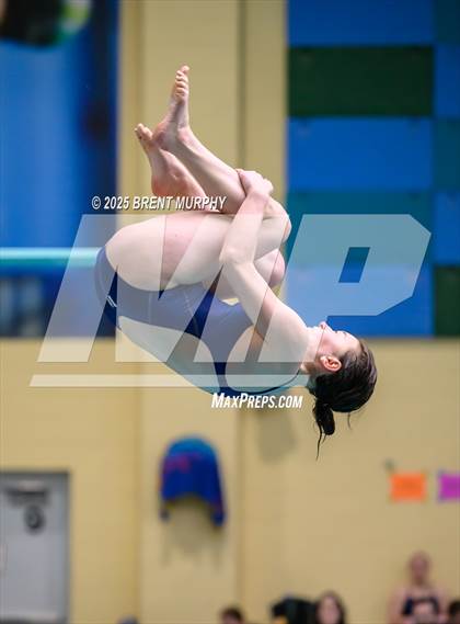 Thumbnail 1 in CHSAA 4A Dive Finals photogallery.