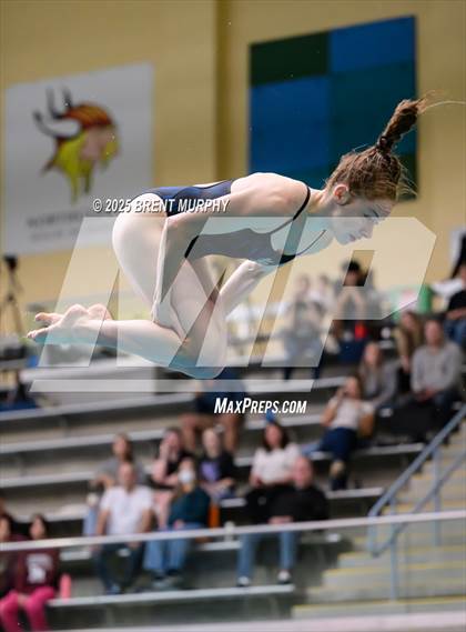 Thumbnail 3 in CHSAA 4A Dive Finals photogallery.