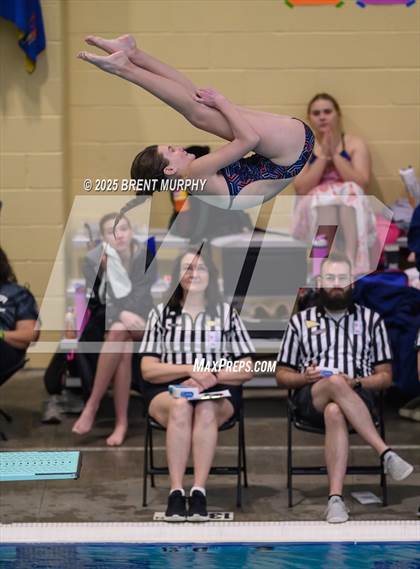 Thumbnail 1 in CHSAA 4A Dive Finals photogallery.