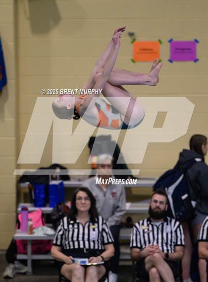 Thumbnail 1 in CHSAA 4A Dive Finals photogallery.