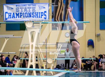 Thumbnail 3 in CHSAA 4A Dive Finals photogallery.