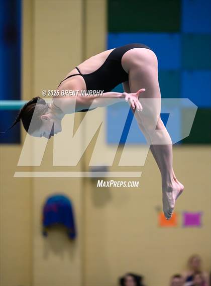 Thumbnail 1 in CHSAA 4A Dive Finals photogallery.