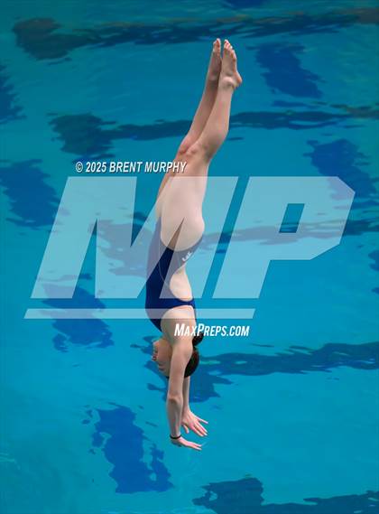 Thumbnail 2 in CHSAA 4A Dive Finals photogallery.