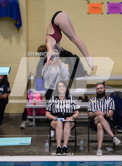 Thumbnail 2 in CHSAA 4A Dive Finals photogallery.
