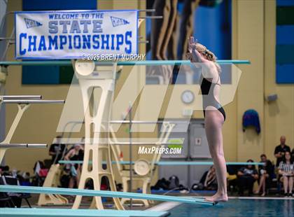Thumbnail 3 in CHSAA 4A Dive Finals photogallery.