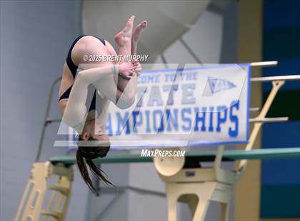 Thumbnail 3 in CHSAA 4A Dive Finals photogallery.