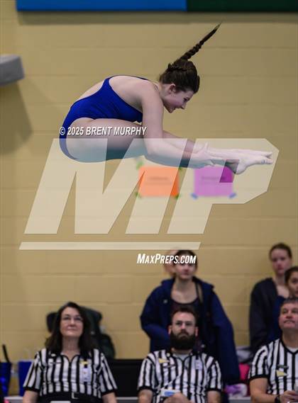 Thumbnail 1 in CHSAA 4A Dive Finals photogallery.
