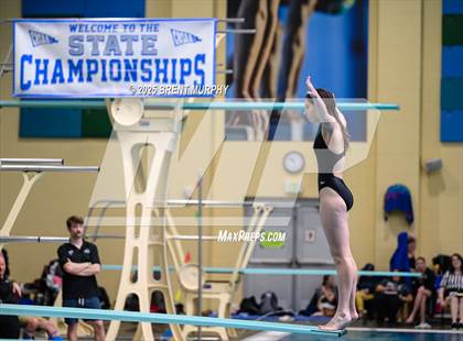Thumbnail 2 in CHSAA 4A Dive Finals photogallery.