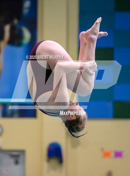 Thumbnail 3 in CHSAA 4A Dive Finals photogallery.
