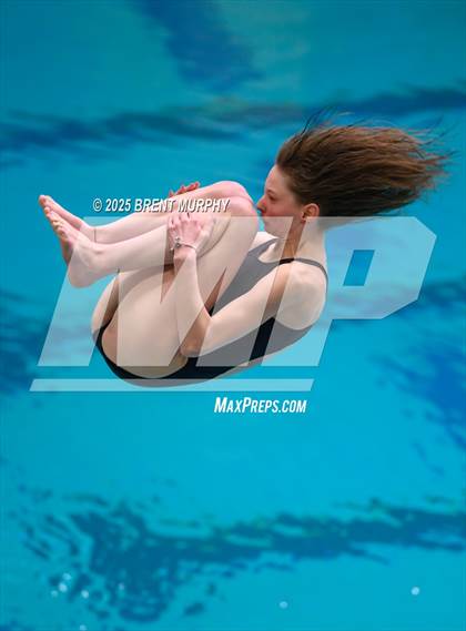Thumbnail 1 in CHSAA 4A Dive Finals photogallery.