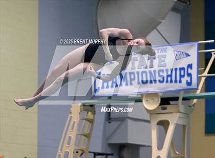 Thumbnail 2 in CHSAA 4A Dive Finals photogallery.