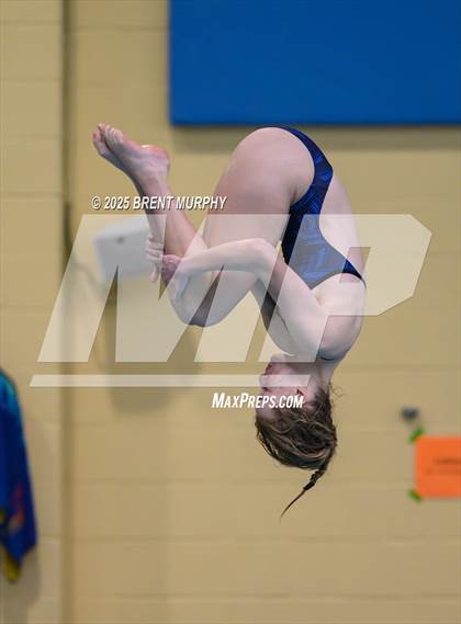 Thumbnail 2 in CHSAA 4A Dive Finals photogallery.