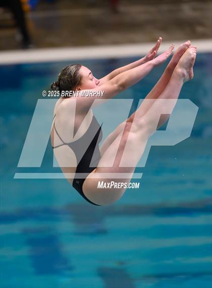 Thumbnail 3 in CHSAA 4A Dive Finals photogallery.