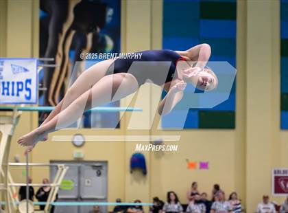 Thumbnail 1 in CHSAA 4A Dive Finals photogallery.