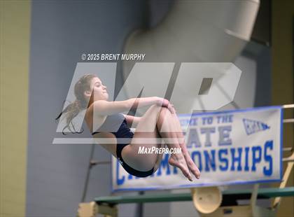 Thumbnail 3 in CHSAA 4A Dive Finals photogallery.