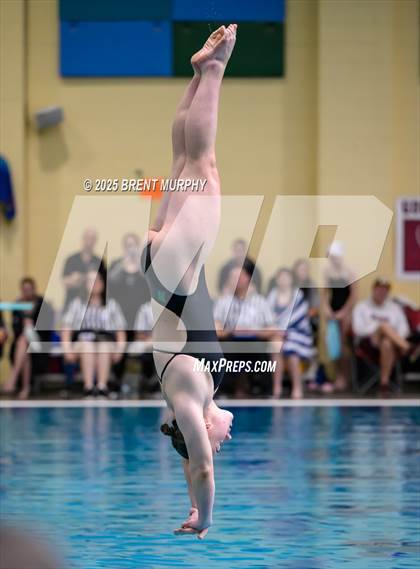 Thumbnail 2 in CHSAA 4A Dive Finals photogallery.