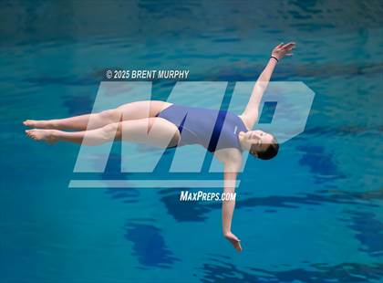 Thumbnail 3 in CHSAA 4A Dive Finals photogallery.